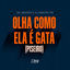 Cover Olha Como Ela é Gata (Piseiro)