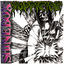 Cover Shinebox