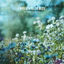 Cover Serenade To Spring