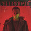 Cover Celebridade