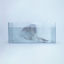 Cover jellyfish
