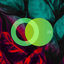 Cover Echoes