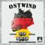 Cover Ostwind