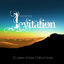 Cover Essential Levitation - 20 Years of Ibiza Chillout Music