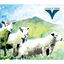 Cover Volk