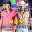 Cover Farra, Pinga e Foguete