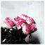 Cover Love Logic