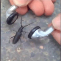 ''