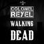 Cover Walking Dead