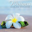 Cover Wellness - Musik zum Wohlfühlen