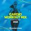 Cover Cardio Workout Mix 2022: 130 bpm/32 count