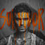 Cover SURVIVOR