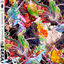 Cover CIEL