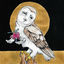 Cover Farewell Transmission b/w The Dark Don’t Hide It