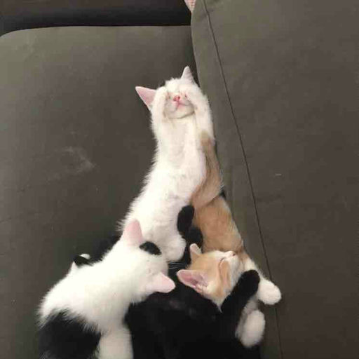 ''