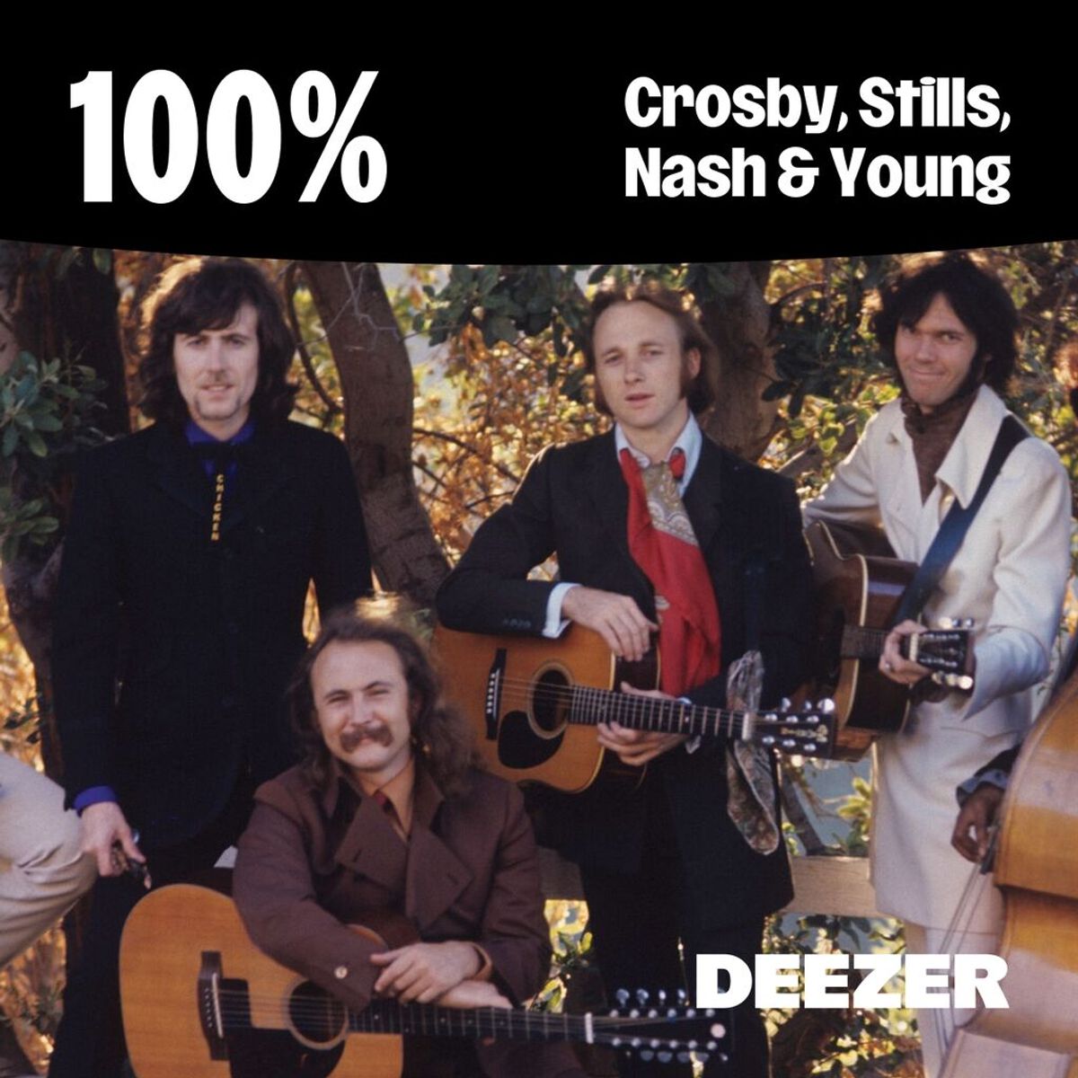 100% Crosby, Stills, Nash & Young Playlist | RTL+