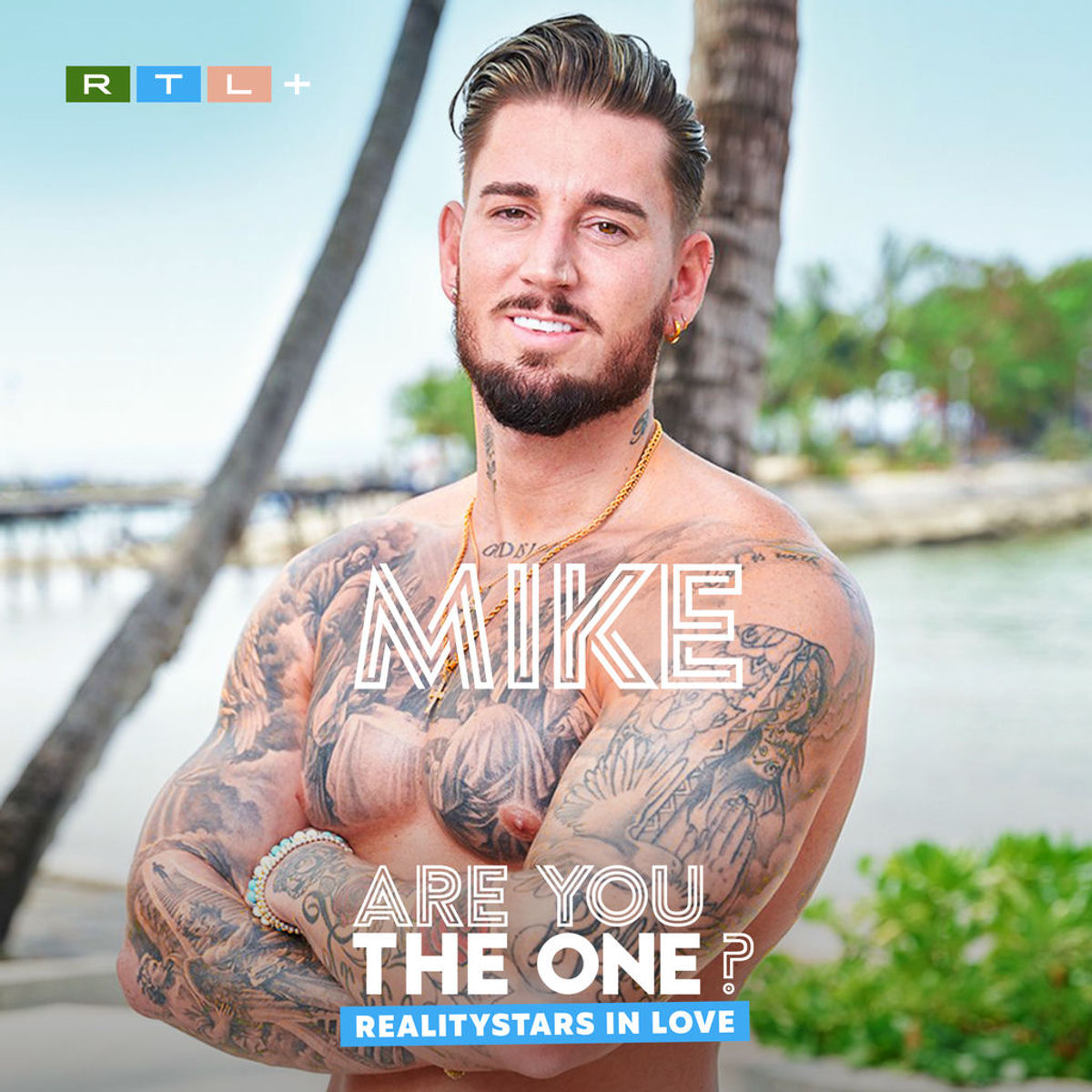 Mikes Top Hits Playlist RTL+