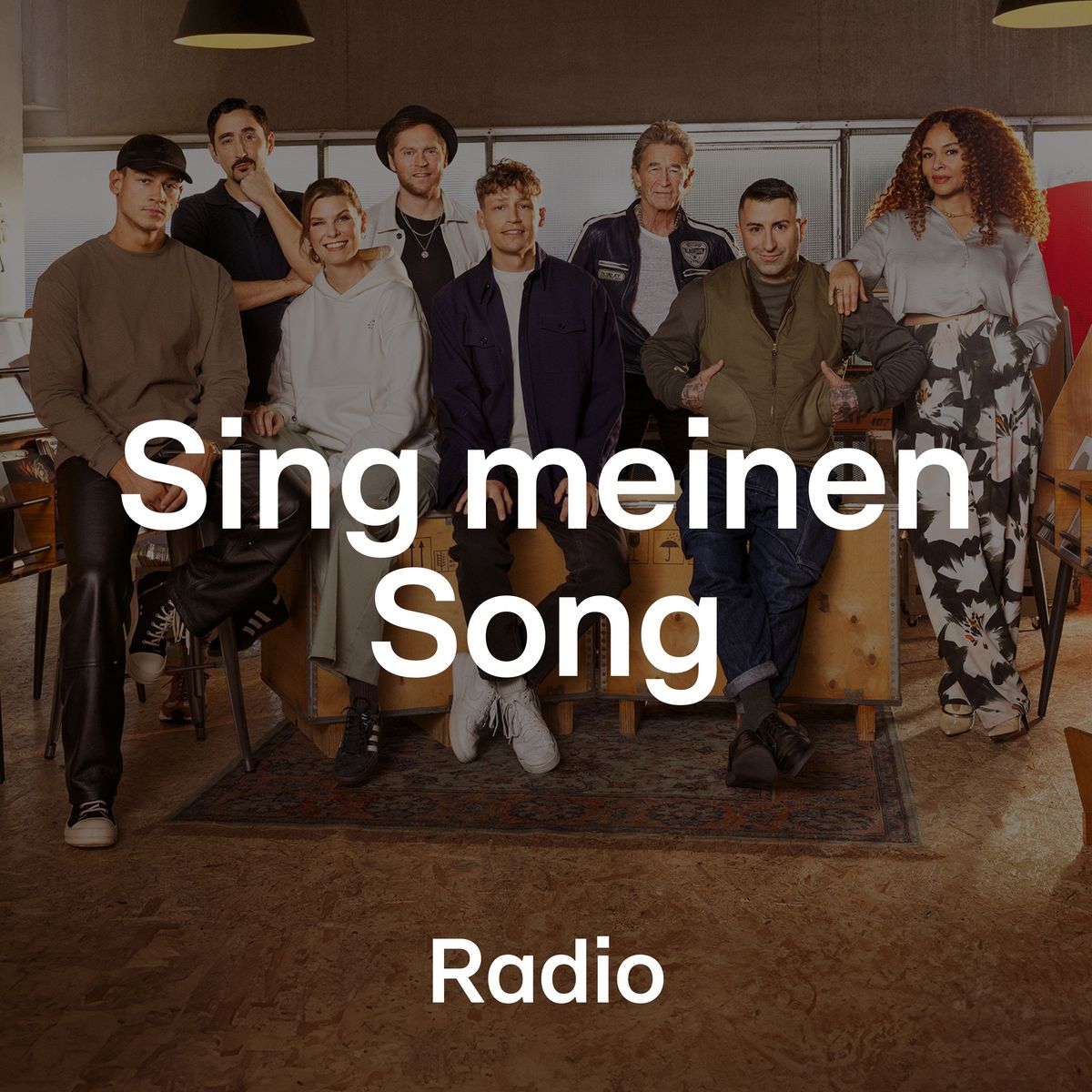 Sing meinen Song