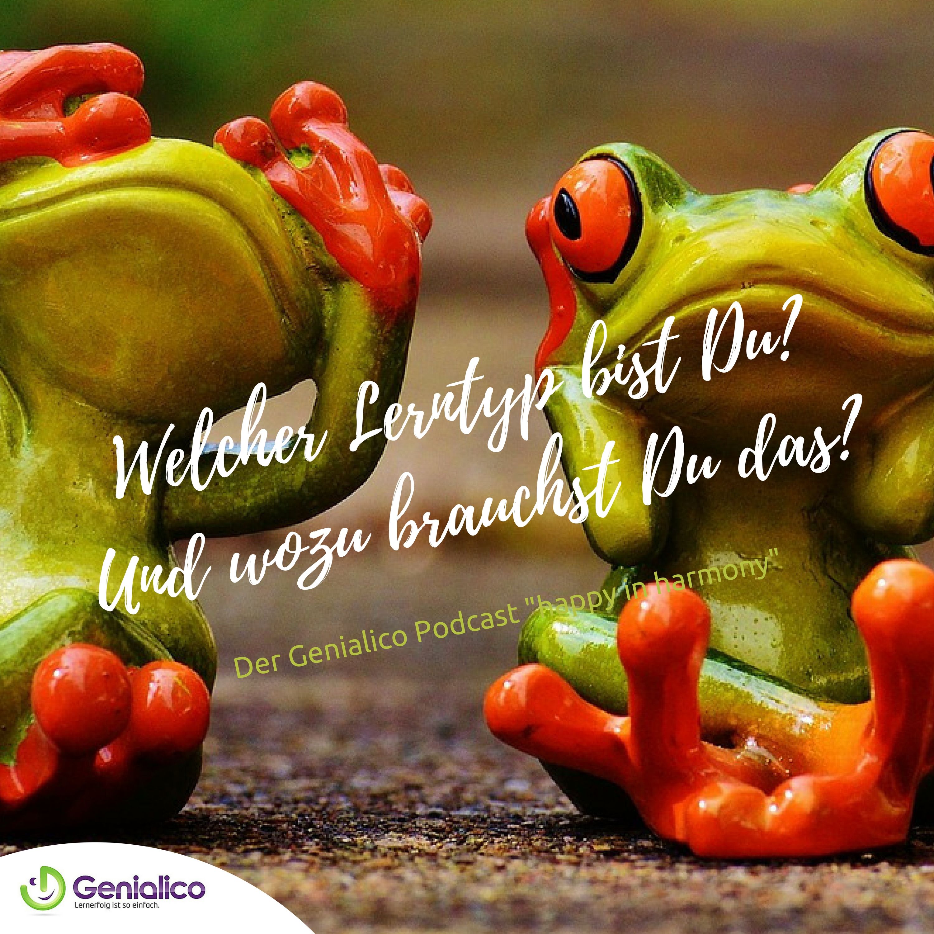 #002: Welcher Lerntyp bist Du?