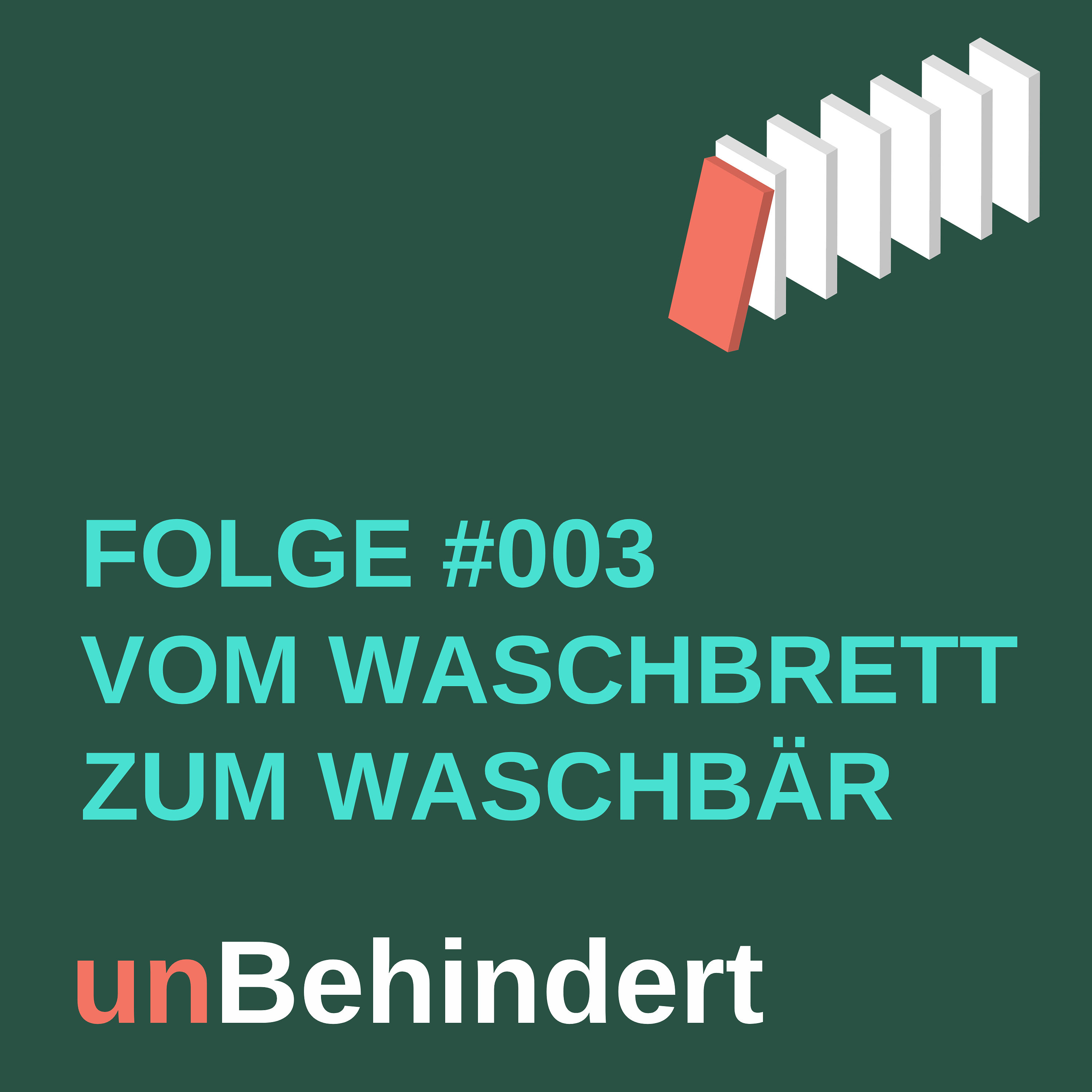 #003 In 1 Sekunde vom Waschbrett zum Waschbär