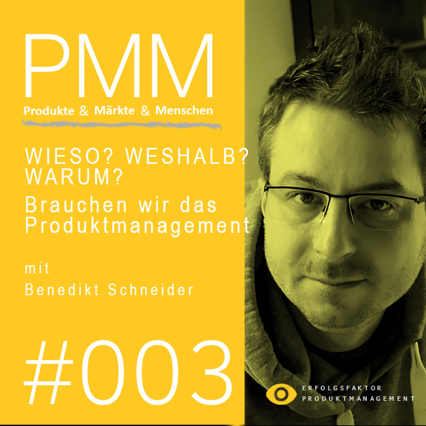 #003 WIESO? WESHALB? WARUM? Brauchen wir das Produktmanagement und was sind die größten Herausforderungen bei der Einführung