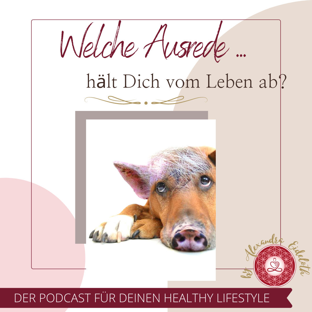 004 - Welche Ausrede hält dich vom Leben ab??