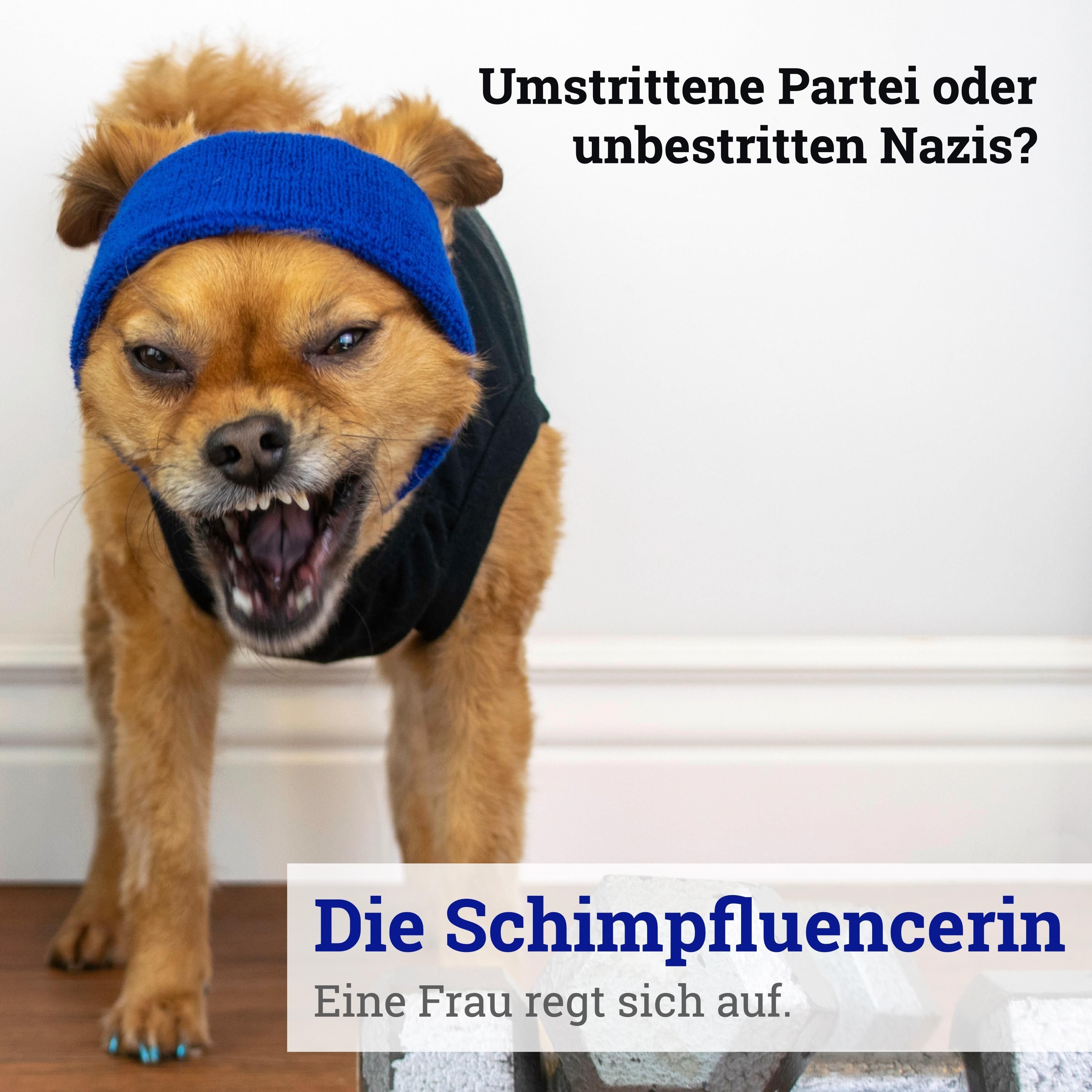 005: Umstrittene Partei oder unbestritten Nazis