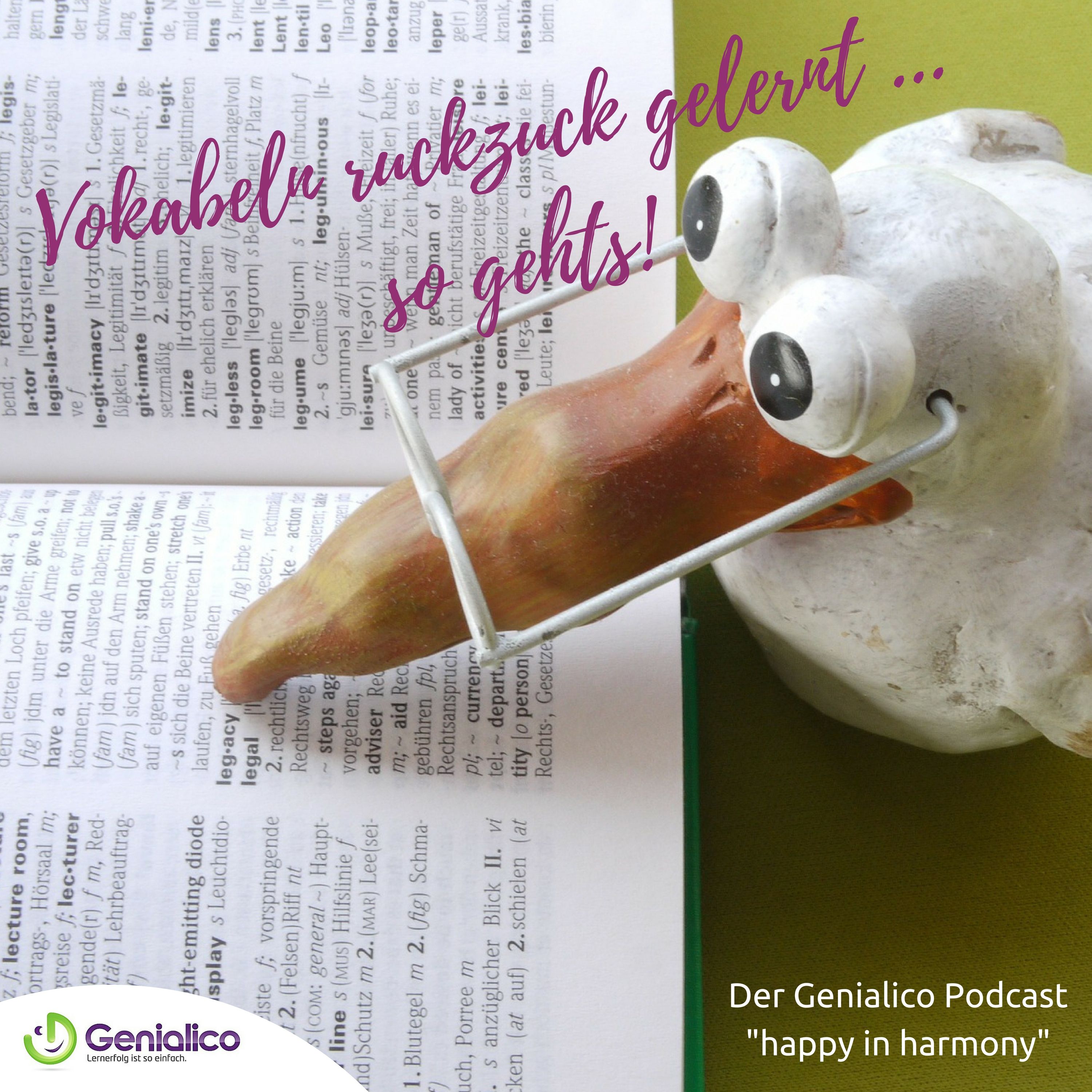 #006: Vokabeln ruckzuck lernen ... so gehts!