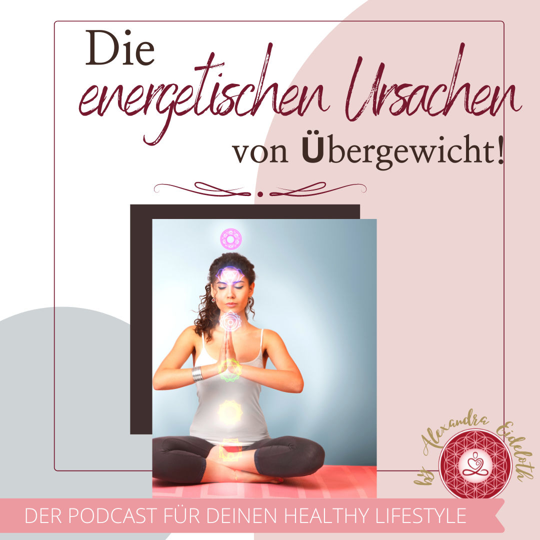 008 Die energetischen Ursachen von Übergewicht