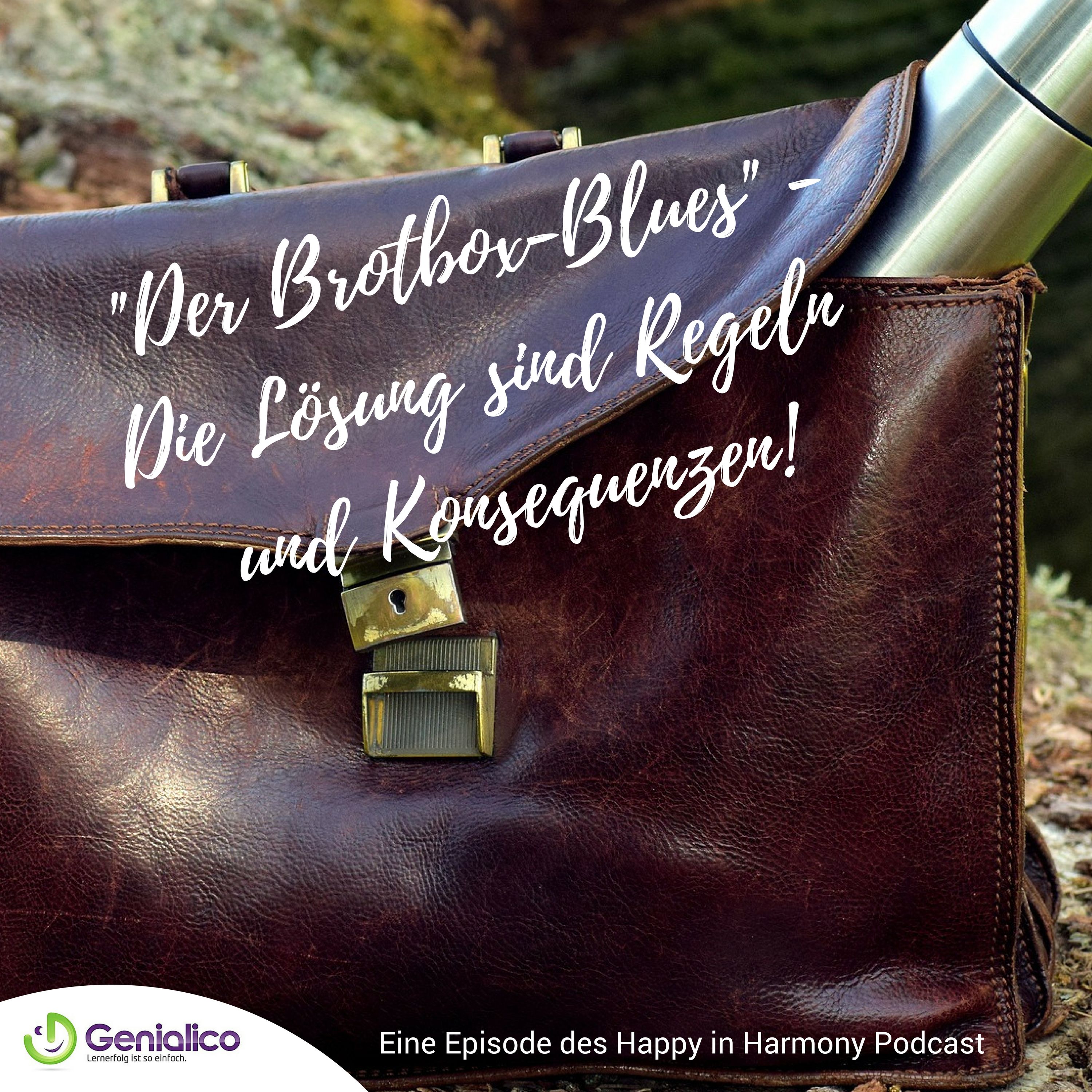 #009: Der Brotbox-Blues