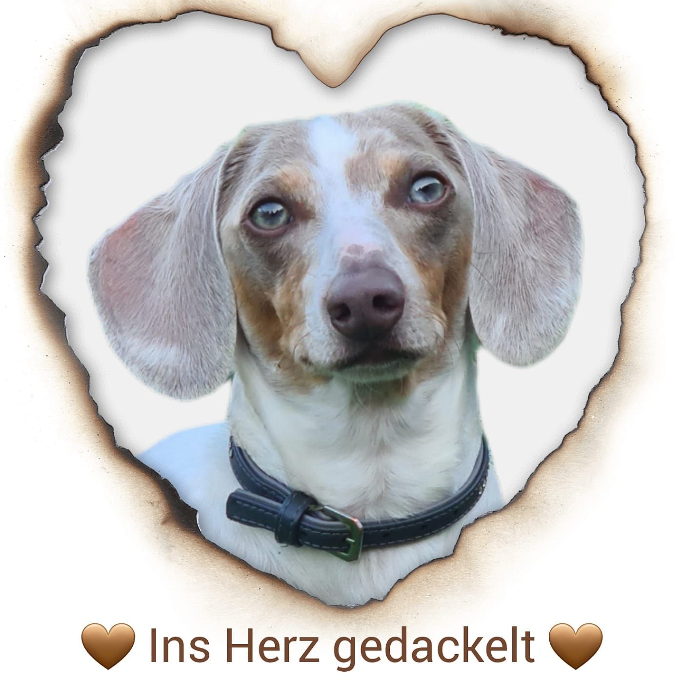 #010 - Kastration, warum eigentlich nicht... ?