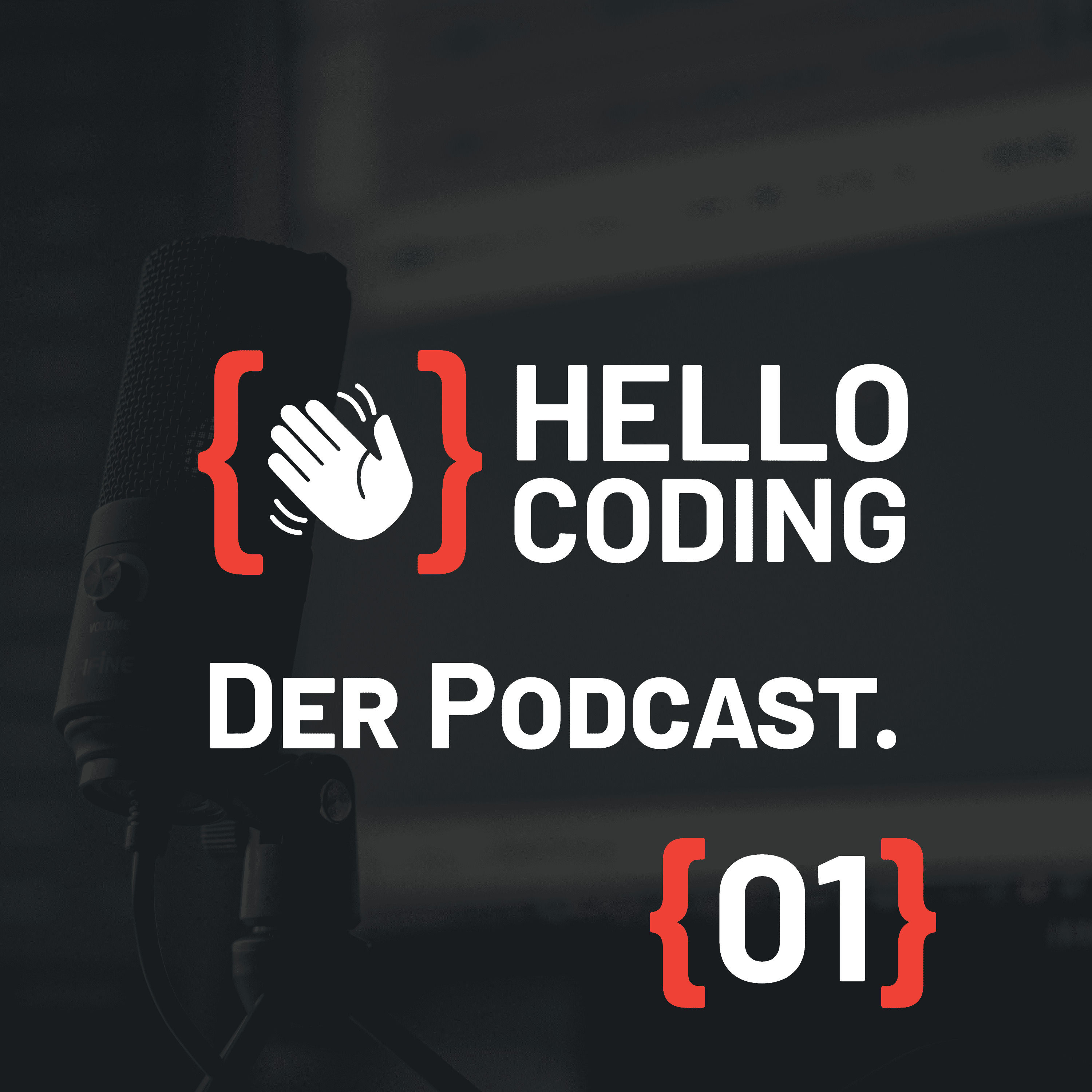 {01} Programmieren Lernen - die Entwicklung von Programmierer*innen