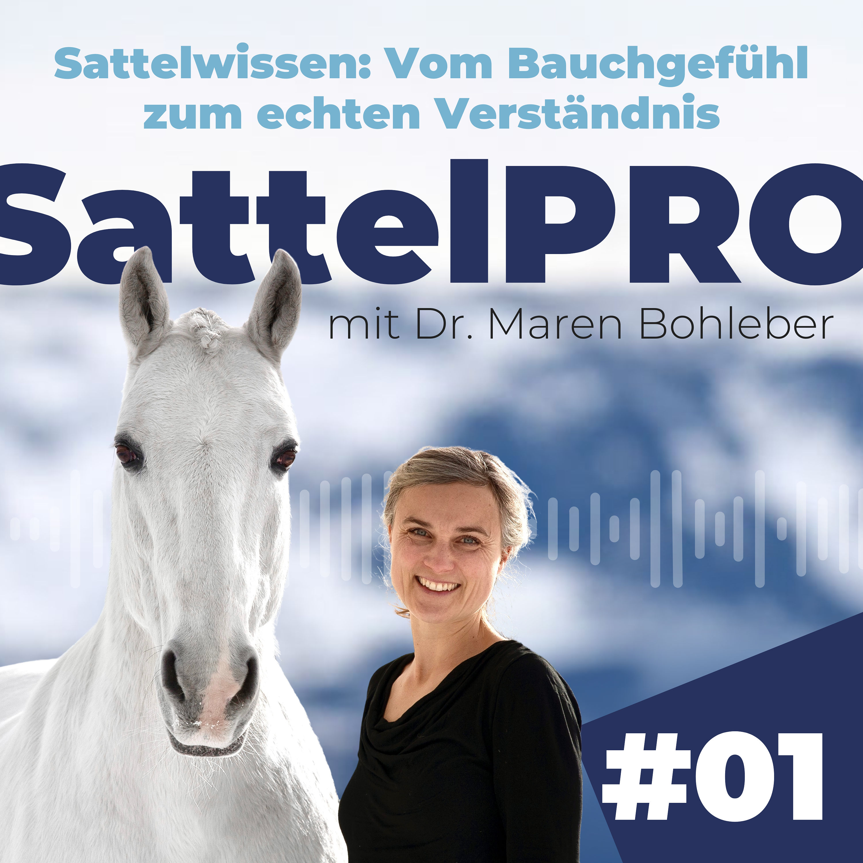 #01 Sattelwissen: Vom Bauchgefühl zum echten Verständnis - was dich in diesem Podcast erwartet