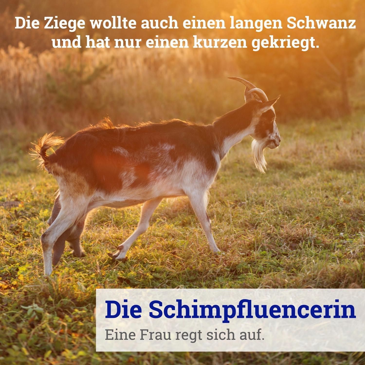 011: Die Ziege wollte auch einen langen Schwanz