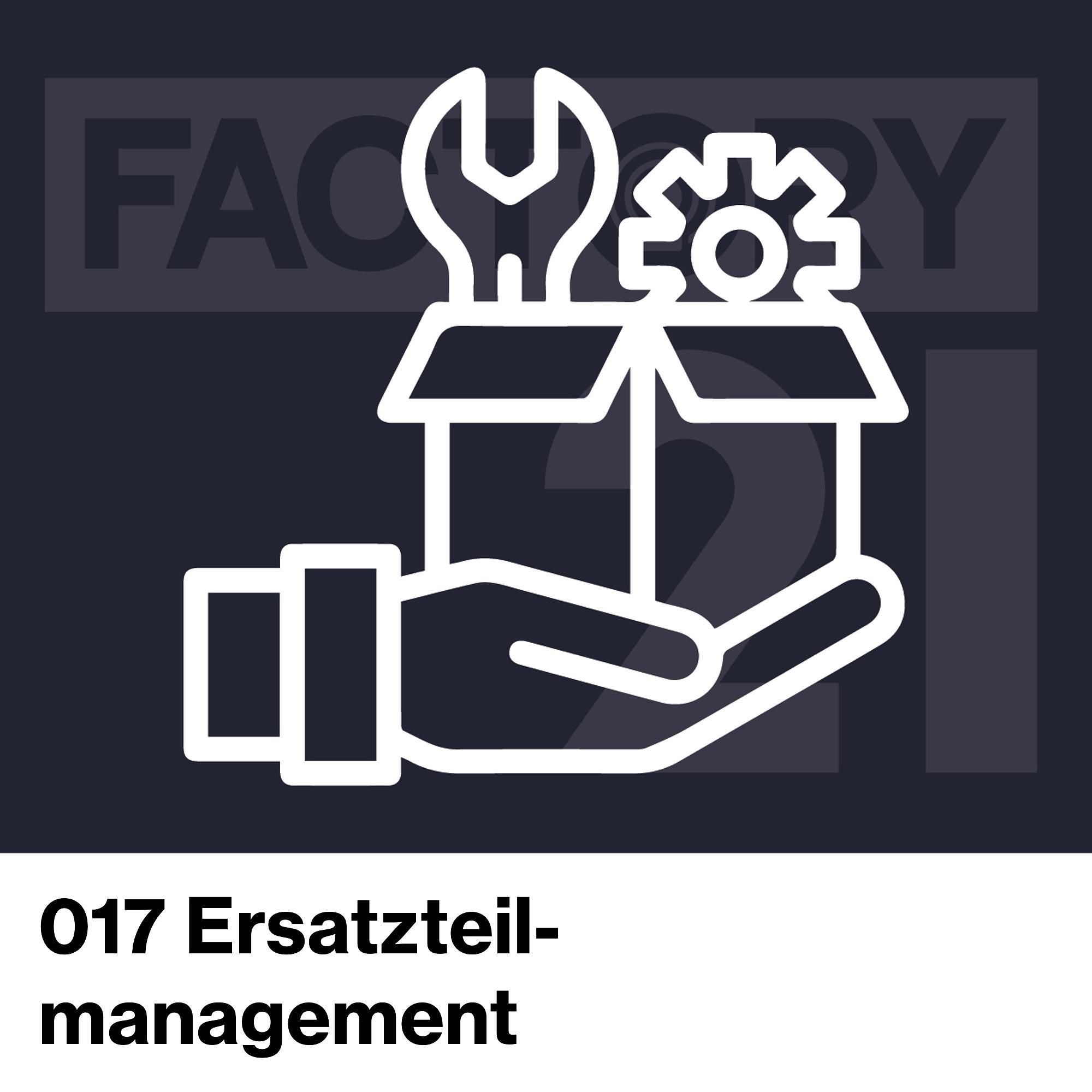 017 Ersatzteile: Goldschatz oder Geldverschwendung?