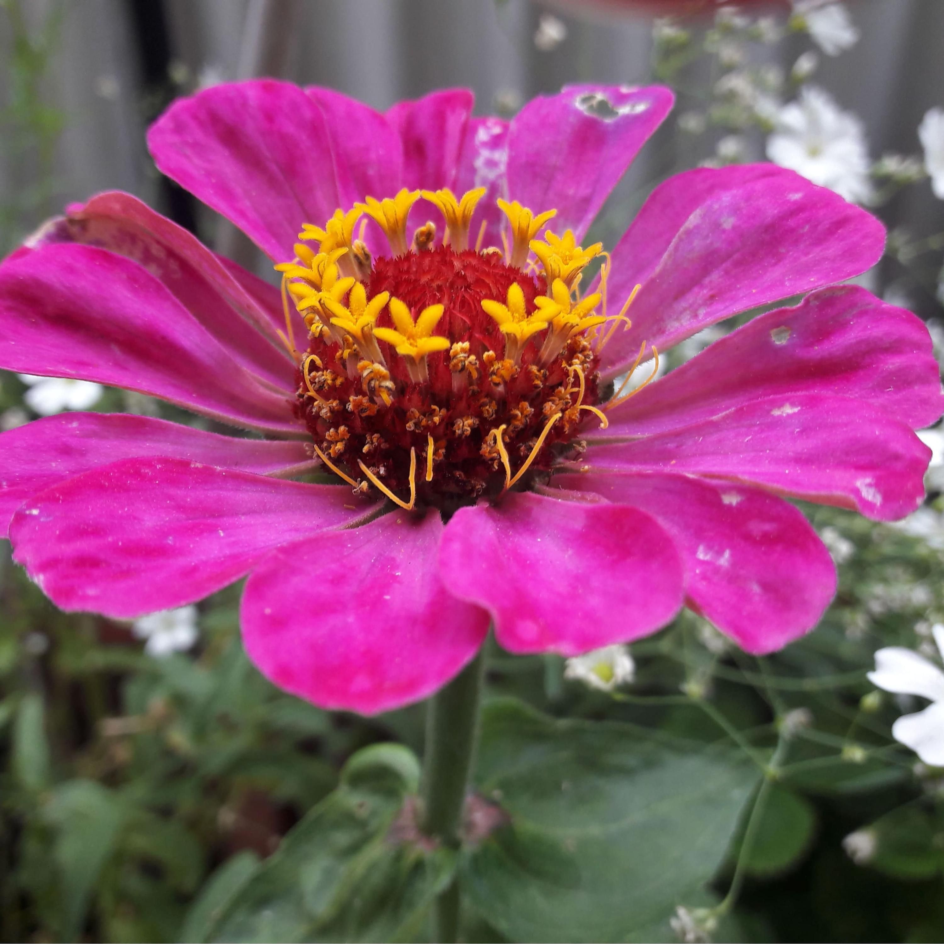 #02 Die Wechseljahre gehen uns alle an