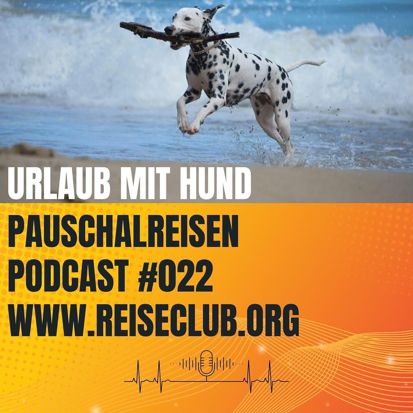 #022 Urlaub mit Hund: Ein Überblick! 🐾