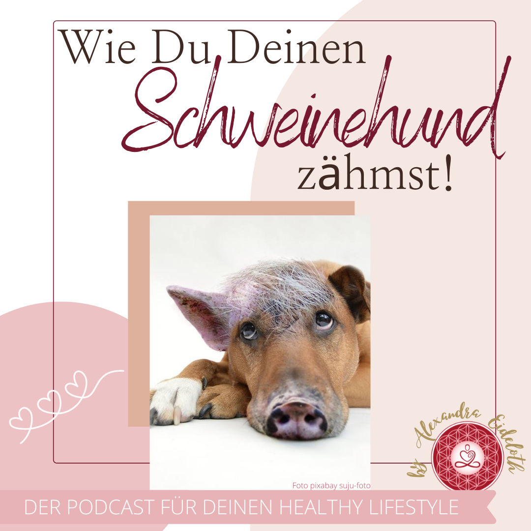024 - Wie Du Deinen Schweinehund zähmst