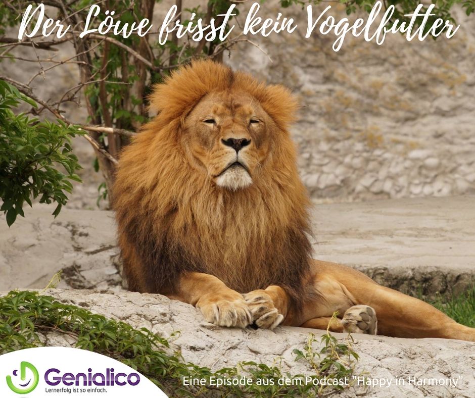 #025: Der Löwe frisst kein Vogelfutter