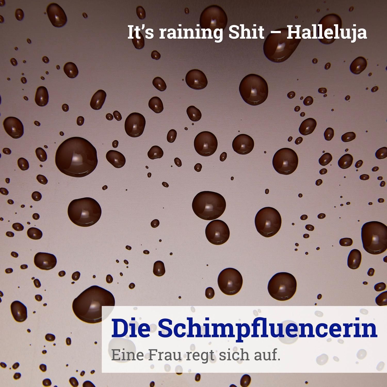 026: It’s raining Shit – Halleluja