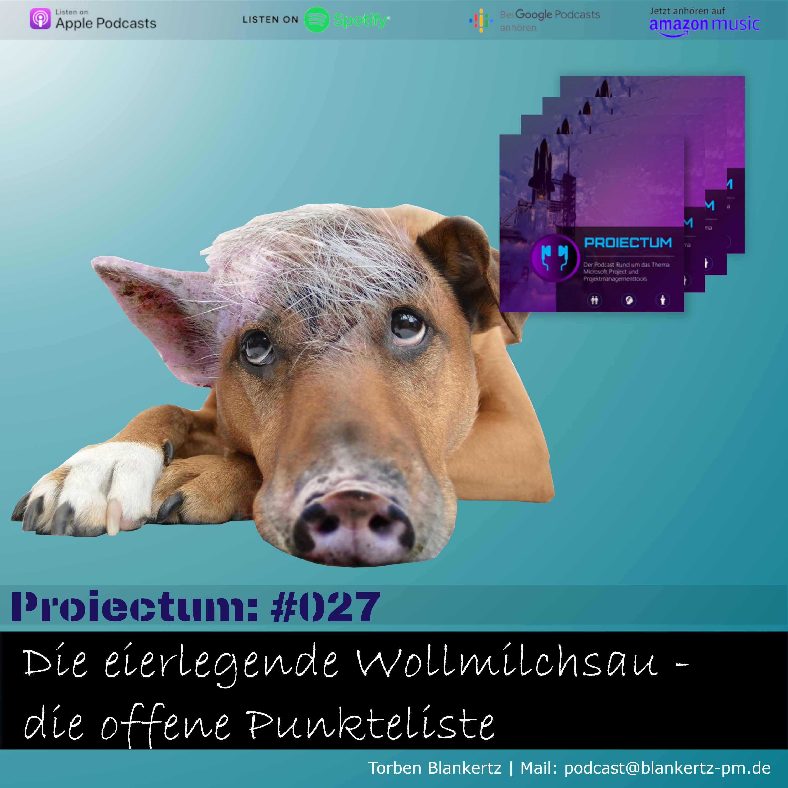 #027 | Die eierlegende Wollmilchsau - die Offene Punkteliste
