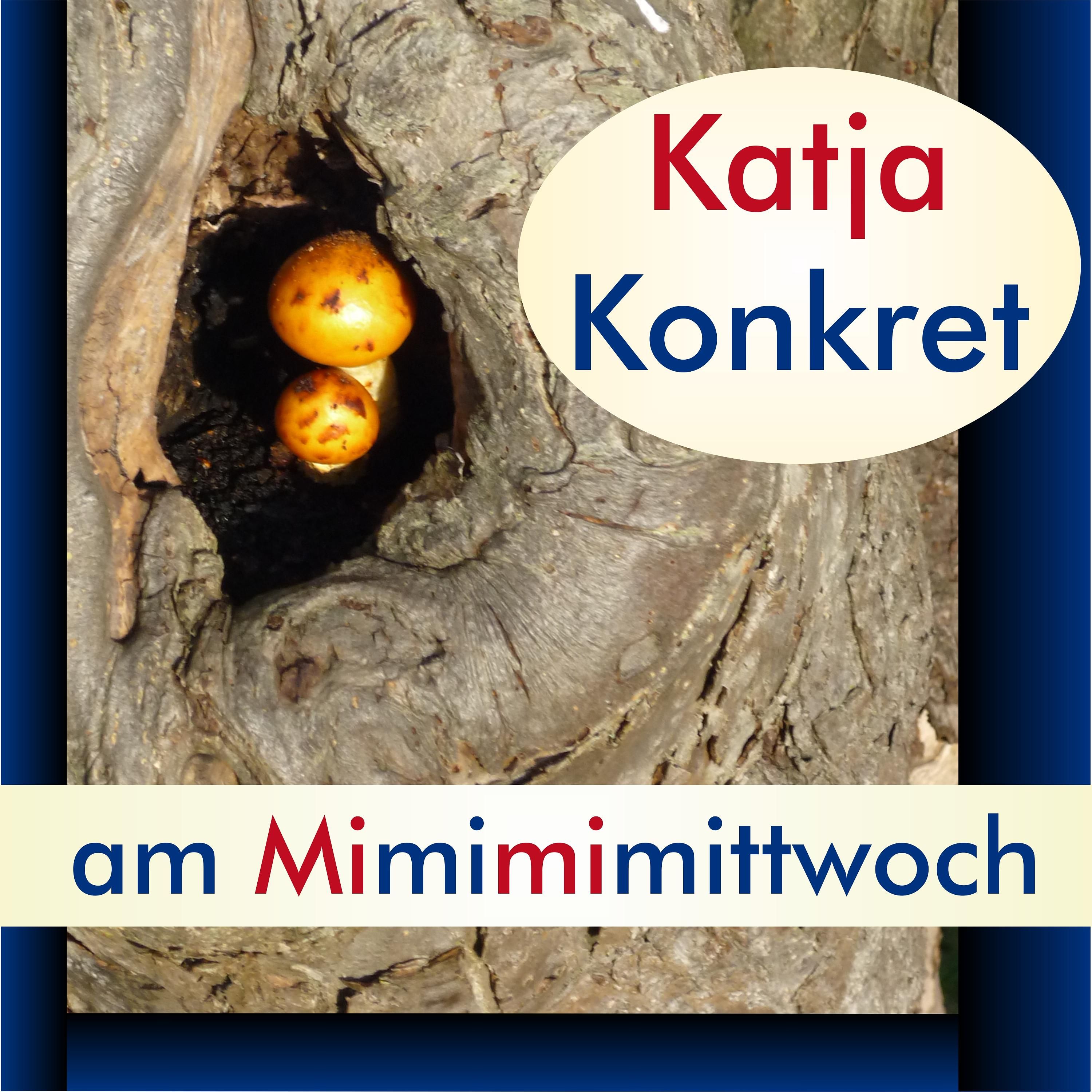 028 Einfach mal Details sehen