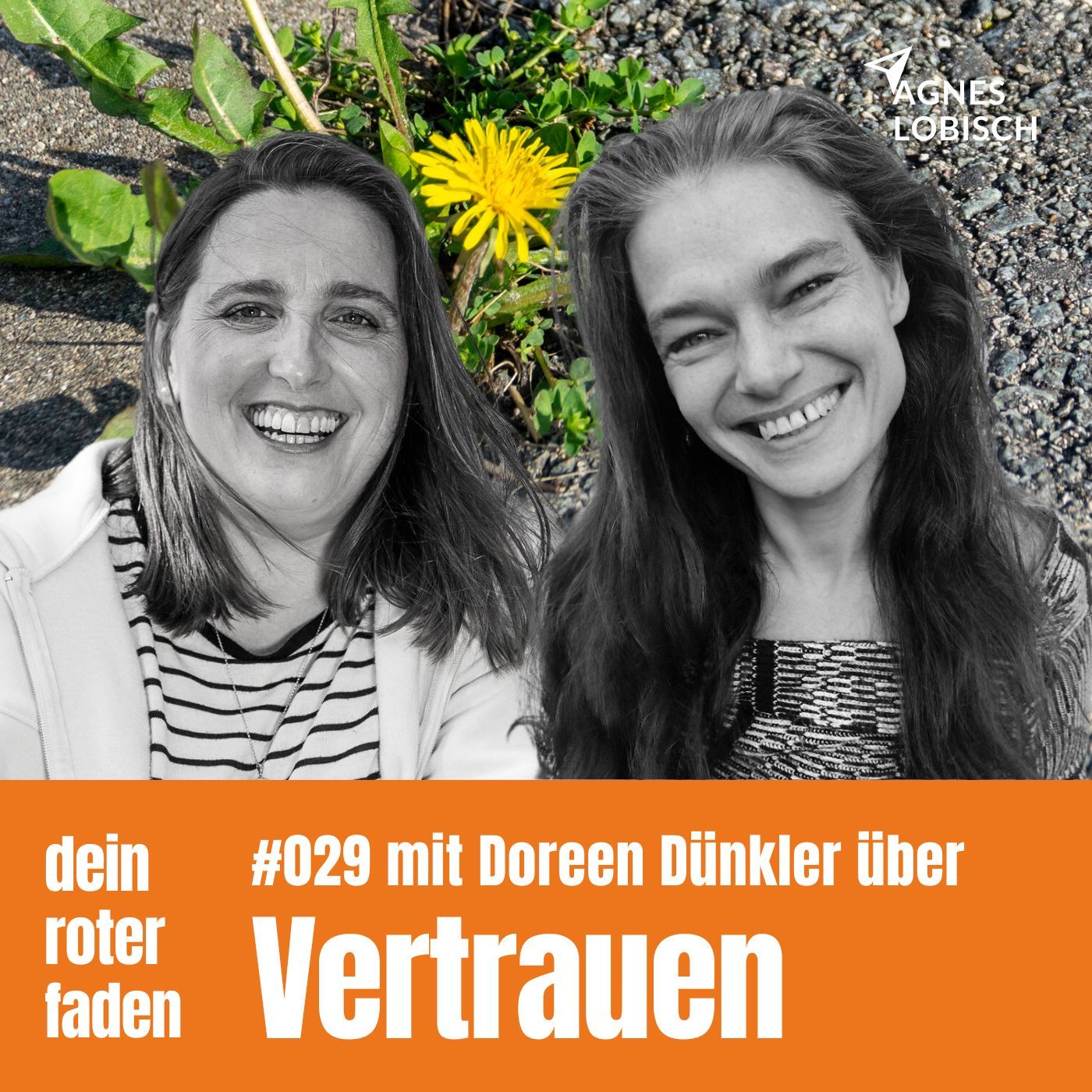 #029 Vertrauen