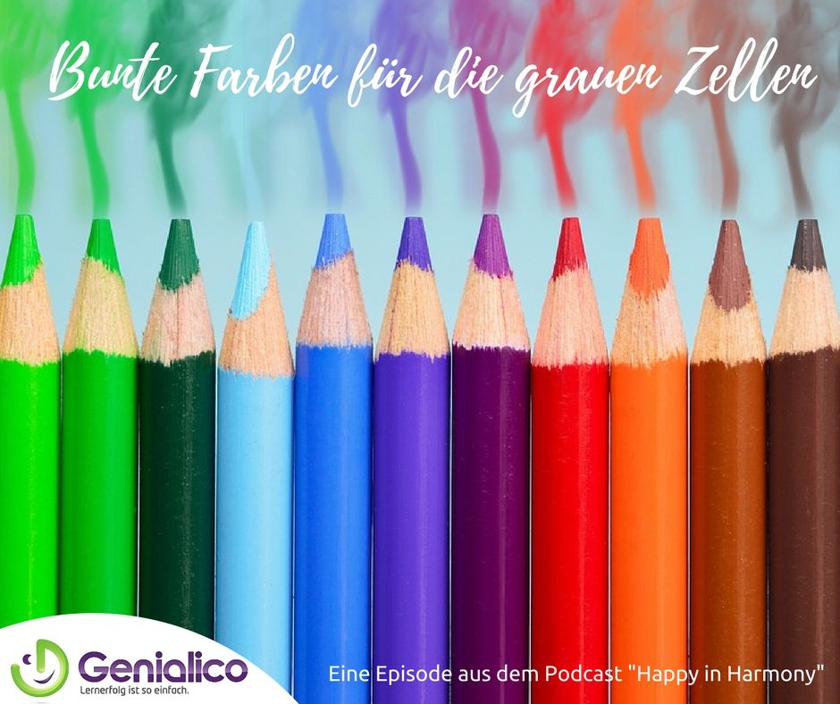 #030: Bunte Farben für die grauen Zellen