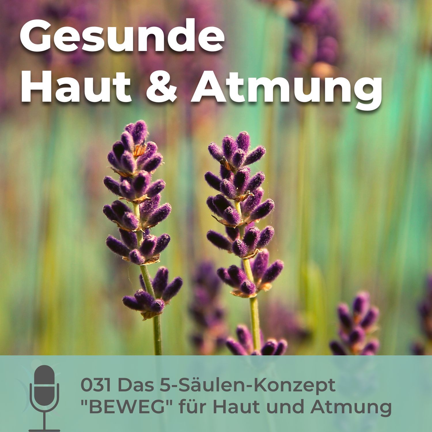 031 5-Säulen-Konzept "BEWEG"