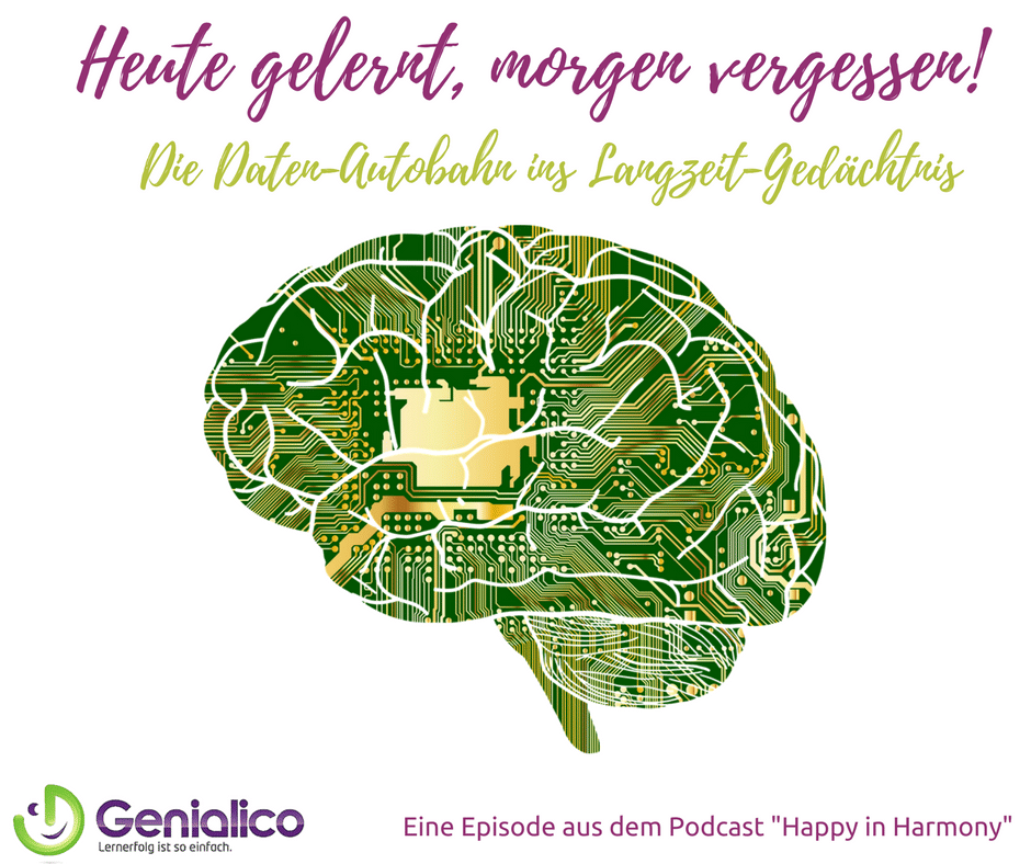 #031: Heute gelernt, morgen vergessen