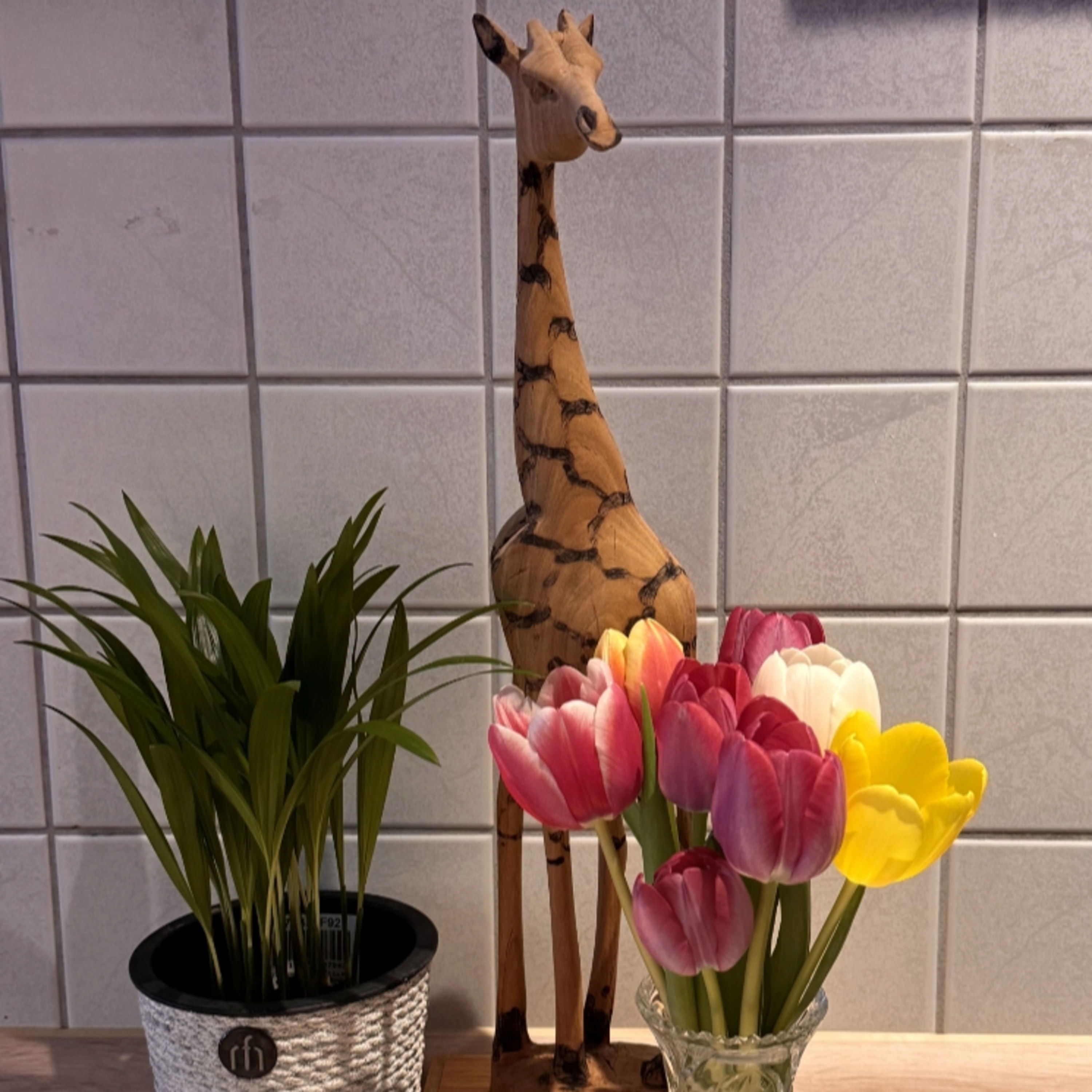 Das Ende der Weihnachtszeit, die Sehnsucht nach Frühling und der skeptische Blick der Giraffe