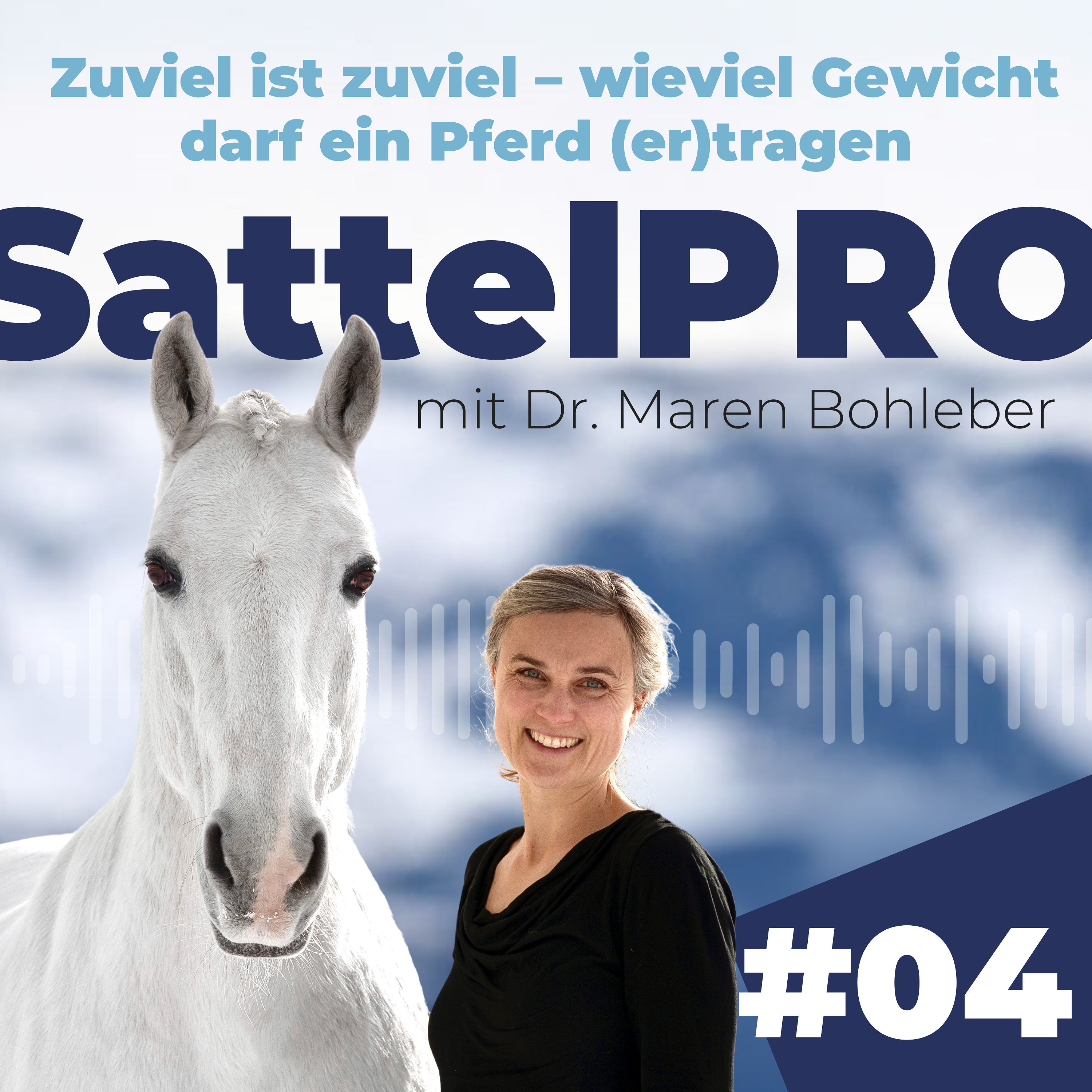 #04 Zuviel ist zuviel - wieviel Gewicht darf ein Pferd (er)tragen
