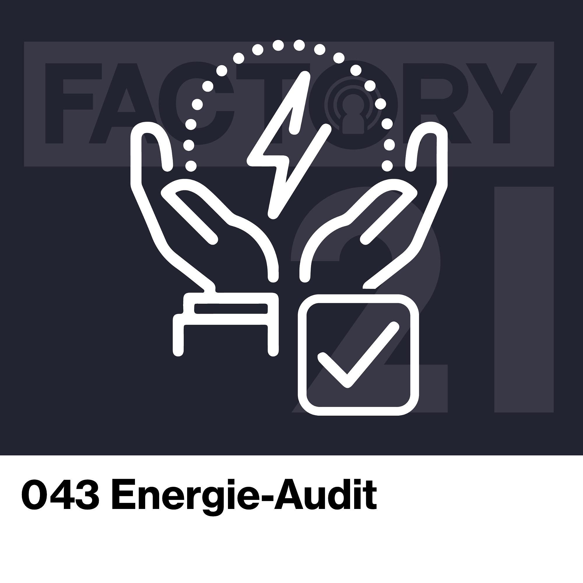 043 Energieaudit