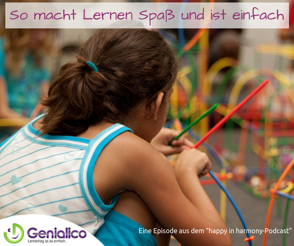 #043: So macht Lernen definitiv Spaß und ist einfach